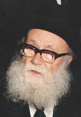 Rabbi Dovid Povarsky
